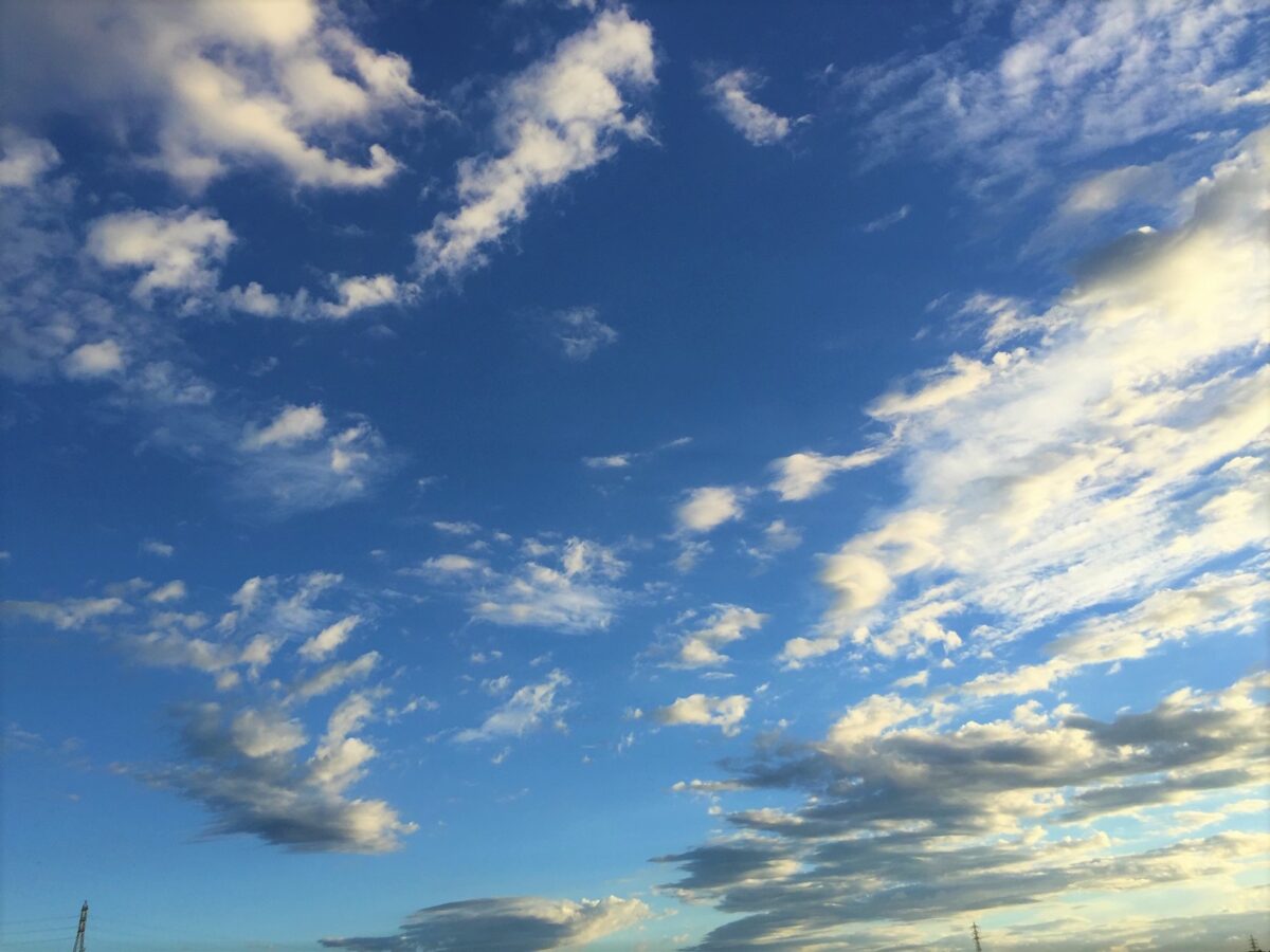 働きながら大学院に 税理士試験の免除を受けられる大学院ってどんなところ ギリギリで税理士受験を突破した経験をもとに 頑張るあなたを応援します